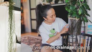 13 years of growing plants without drainage holes 🪴