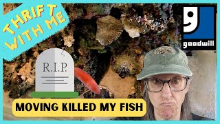 Moving Killed My Fish - Thrift With Me at Goodwill in Las Vegas