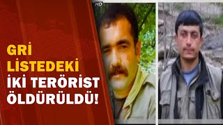 Bitlis'te, Gri Listedeki 2 Terörist Etkisiz Hale Getirildi! / A Haber 