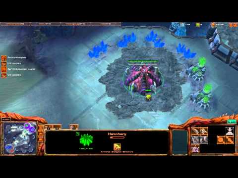 Starcraft 2 2v2 With OGS Liquid Flex