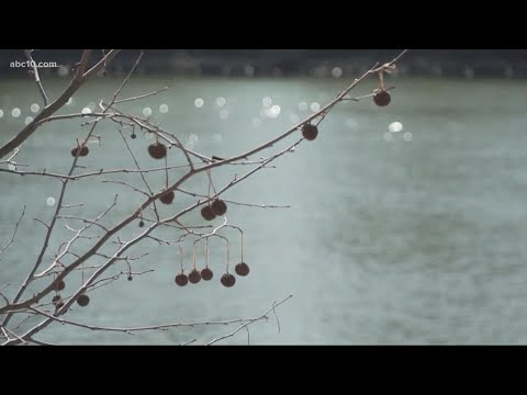 Seasonal Affective Disorder, explained