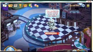 Animal jam Zed Stay the night