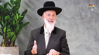 חג סוכות 2025 | הרב יונה מצגר - מדהים! (ארגון ענפים) - התמונה מוצגת ישירות מתוך אתר האינטרנט יוטיוב. זכויות היוצרים בתמונה שייכות ליוצרה. קישור קרדיט למקור התוכן נמצא בתוך דף הסרטון