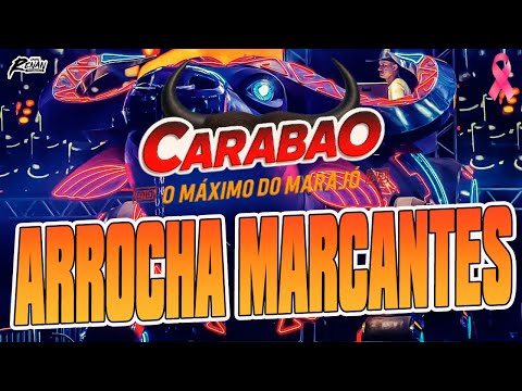 NOVO CARABAO - ARROCHA MARCANTES - SEQUÊNCIA DJ ANDRÉ E DALTON