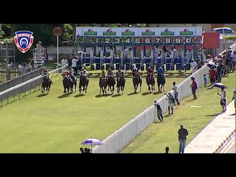 RM9 R4 | Red Line Captain | N.Juglall