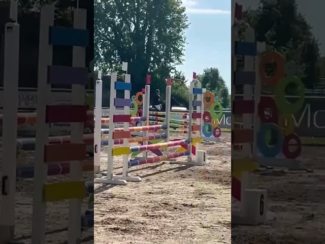 In Vendita Pony da Completo e Salto Ostacoli 