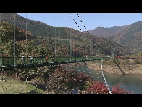 もみじ谷大吊橋