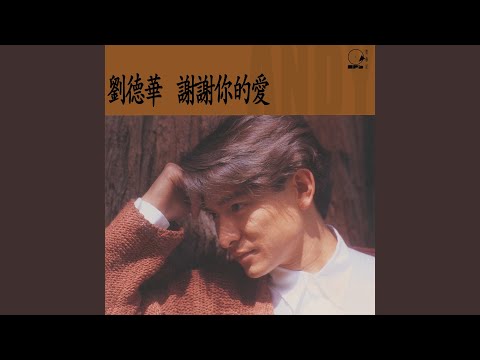 新好情人 – Andy Lau 刘德华