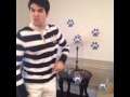 Blues Clues Freakout Seven Seconds In One Minute Version
