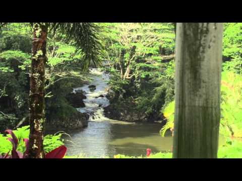 download lagu mp3 mp4 Malama Pono Translation, download lagu Malama Pono Translation gratis, unduh video klip Malama Pono Translation