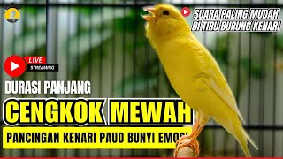Download lagu 🛑 MASTERAN BURUNG | Kenari GACOR PANJANG INI AMPUH untuk Pancingan KENARI PAUD - Kenari Macet BUNYI mp3