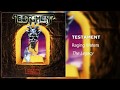 Testament - Raging Waters