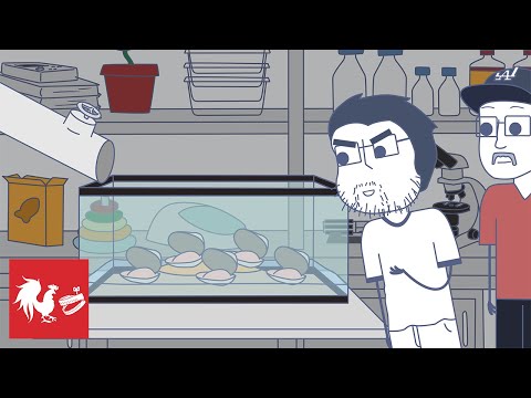 Clammed Up - Rooster Teeth Animated Adventures
