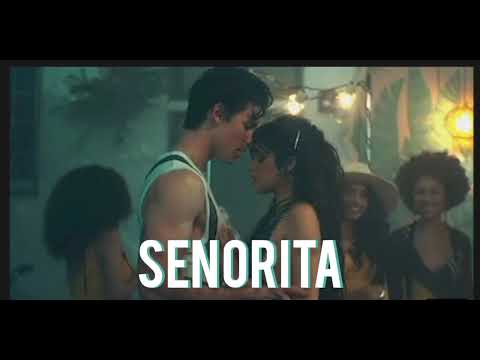 Shawn Mendes, Camila Cabello - Señorita|| yfb ||Dj Skyrock remix