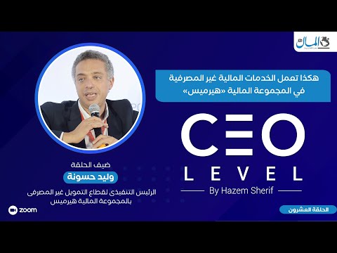هكذا تعمل الخدمات المالية غير المصرفية في المجموعة المالية «هيرميس».. حوار مع وليد حسونة