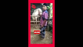 Download lagu lucu #memes #viral #meme #shortvideo #viralvideo #shorts mp3 Download lagu lucu #memes #viral #meme #shortvideo #viralvideo #shorts mp3