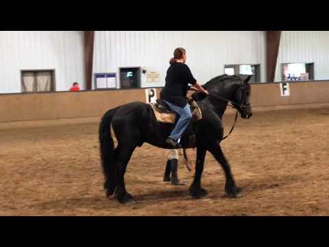 Carmelita Nitrous Spanish Walk