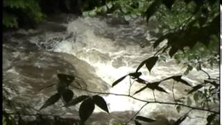 Requiem For Adam (Part 2/4) by Christopher Smith