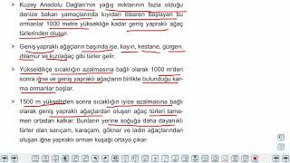 Eğitim Vadisi 10.Sınıf Coğrafya 12.Föy Türkiye'de Doğal Bitki Örtüsü 1 Konu Anlatım Videoları