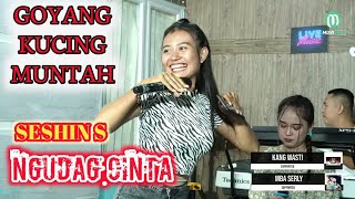 Download lagu NGUDAG CINTA - SESHIN - JB MUSIK ONLINE 25 OKTOBER 2022 mp3 Download lagu NGUDAG CINTA - SESHIN - JB MUSIK ONLINE 25 OKTOBER 2022 mp3