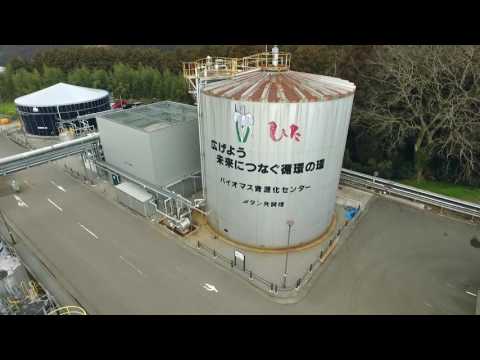 園芸 緑の廃棄物とバイオマスの輸出