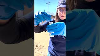 Sampling AZ Groundwater Quality