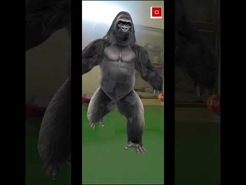 AlphaMagic video thumbnail