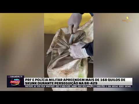 PRF E POLÍCIA MILITAR APREENDEM MAIS DE 168 QUILOS DE SKUNK DURANTE PERSEGUIÇÃO NA BR-429