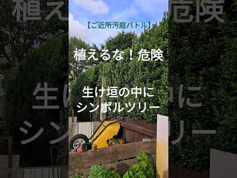 haie-jardin-fleurie haie de jardin