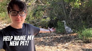 I have a huge announcement!