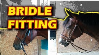 Bridle Fitting Tips for Beginners -
