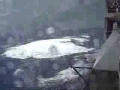 Imagen de previsualización de YouTube