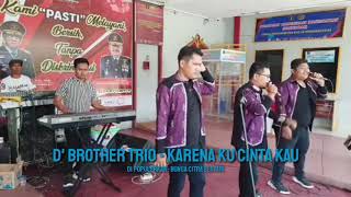 Download lagu D' Brother Trio - Karena Ku Cinta Kau ( BCL ) mp3 Download lagu D' Brother Trio - Karena Ku Cinta Kau ( BCL ) mp3