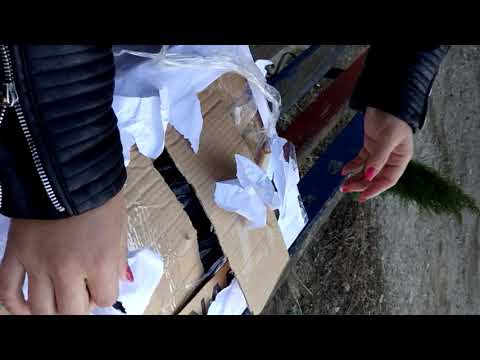 Primăria tibanesti trimite gunoie acasă locuitorilor din tibanesti