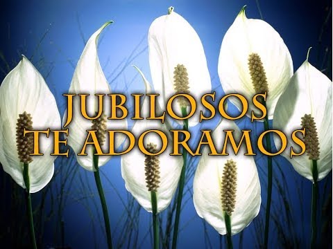 Jubilosos Te Adoramos video