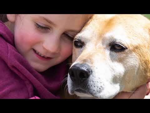 Keep 250 Pets Out of Shelters