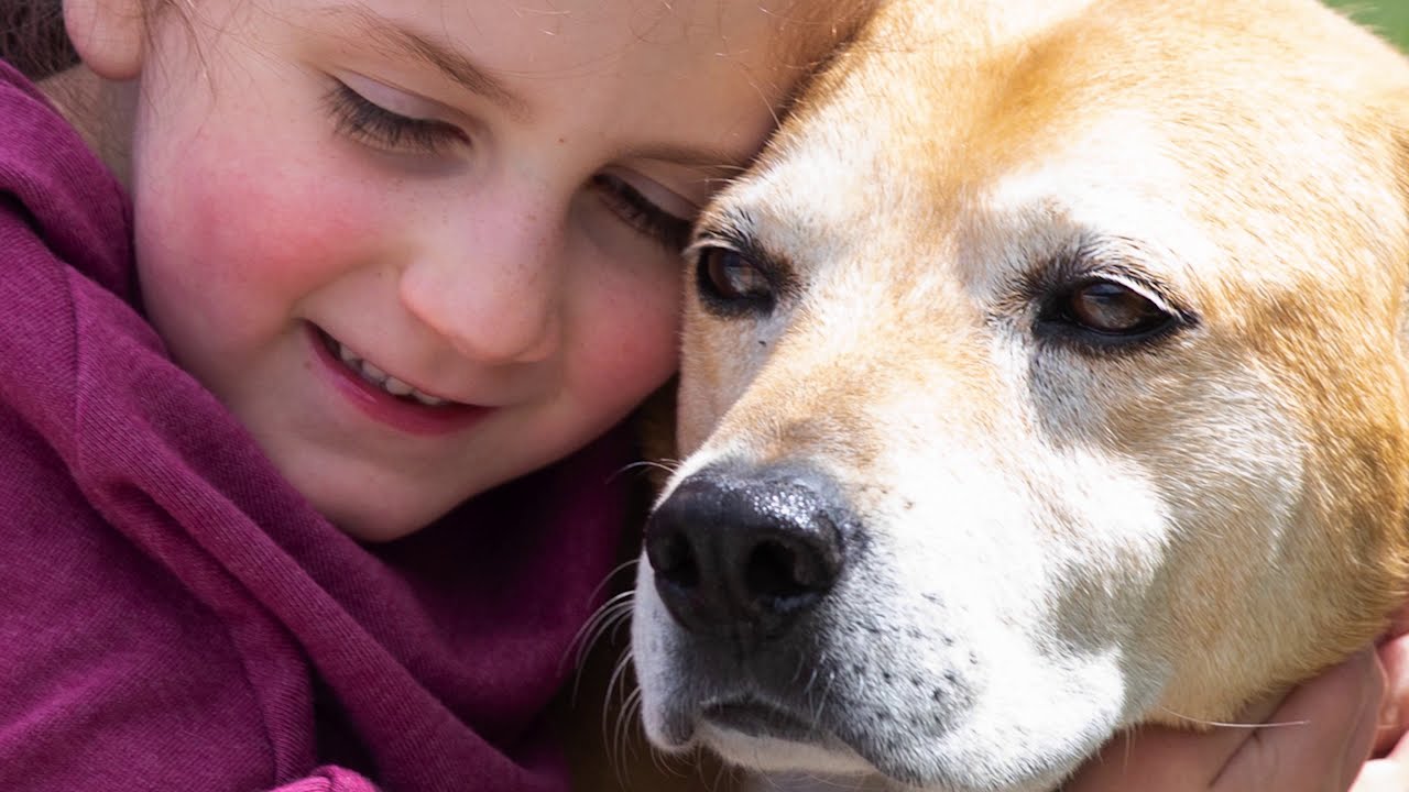 Second Chance Animal Services