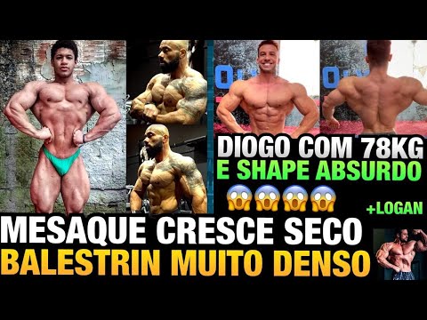 MESAQUE CRESCENDO SECO - BALESTRIN DENSO AO EXTREMO - DIOGO MONTENEGRO ABSURDO COM 78KG E MAIS