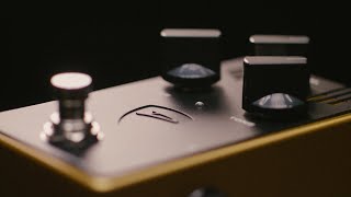 Video thumbnail for Dingwall x Darkglass: 35th Anniversary Limited Edition by Darkglass Electronics