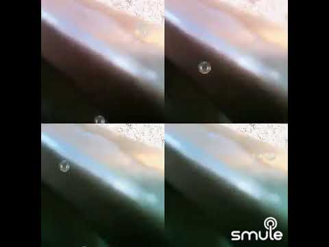 cover(ketegal nuan aku merinsa)