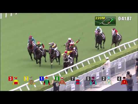 13/6/2021 (747) California Spangle - N Callan