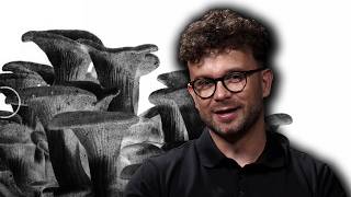 How are mushrooms poisonous? | Death #4