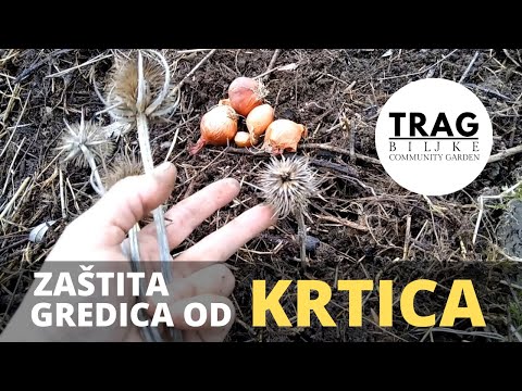 MOLE - EARTHEN BED PROTECTION