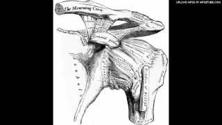 The Library of Babel ( 5chords studio ) - The Mourning Crew