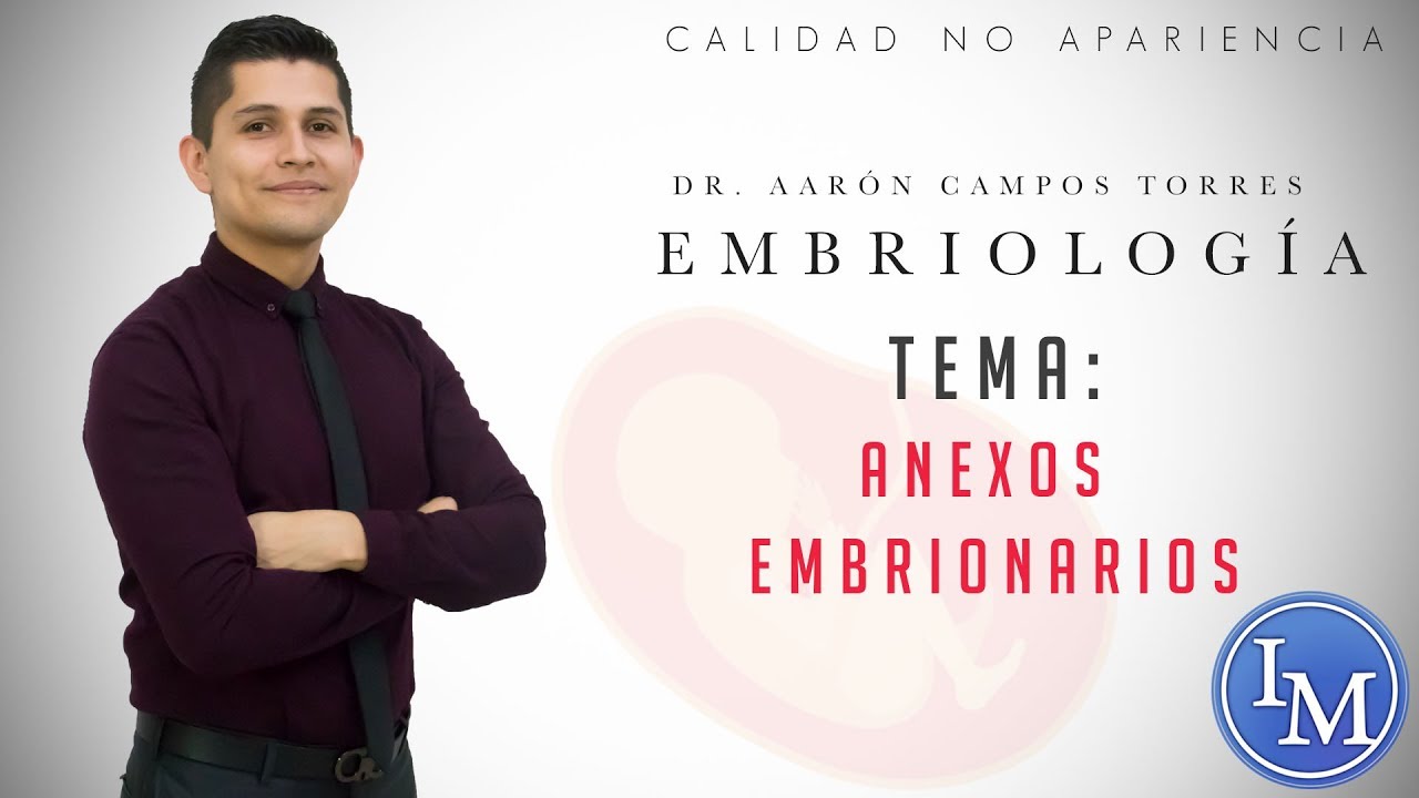 Embriología | Anexos Embrionarios | Amnios, cordón umbilical, saco vitelino