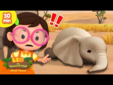 Witness21 Editor  2025 01 16