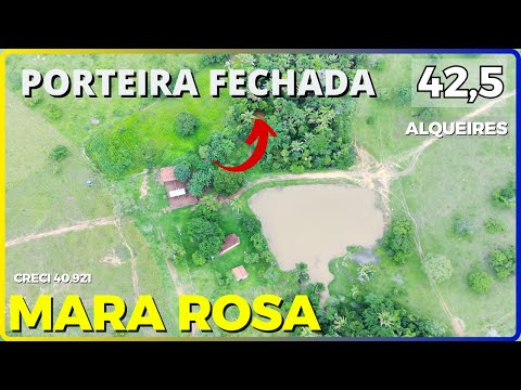 ✅ PORTEIRA FECHADA Oportunidade Única Fazenda de 42,5 Alqueires em Mara Rosa - Goiás #agro #fazenda