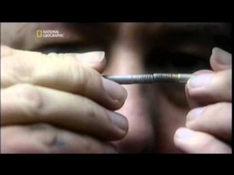 Air Crash Investigatoion | Special Report | Ripped Apart | Part 2