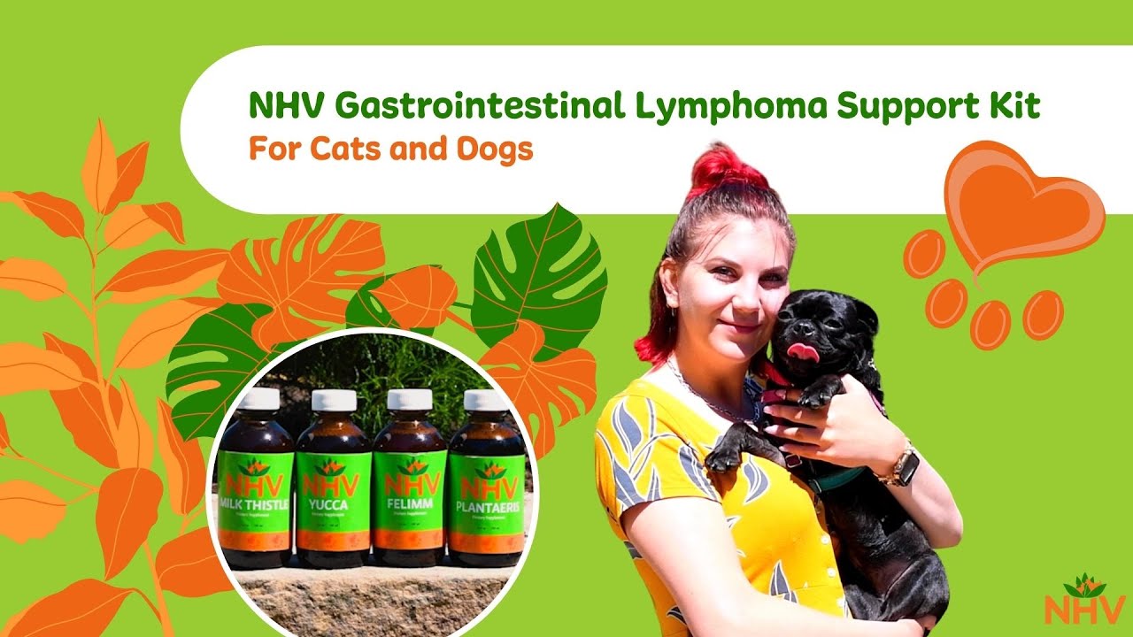 NHV Gastrointestinal Lymphoma Support Kit For Cats and Dogs
