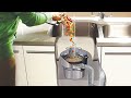 What NOT to Put Down Your Garbage Disposal